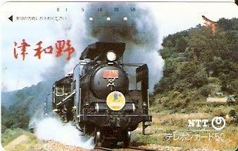 JAP-350-116