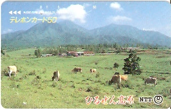 JAP-350-243