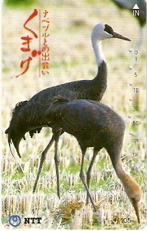 JAP-351-012