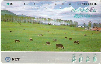 JAP-351-023
