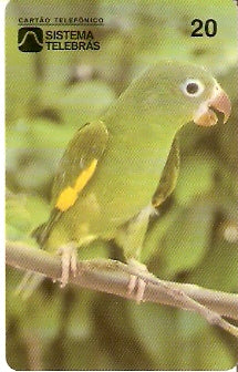 CE-020M - Periquito Manga