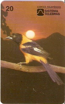 CE-022 - Currupião Vermelho