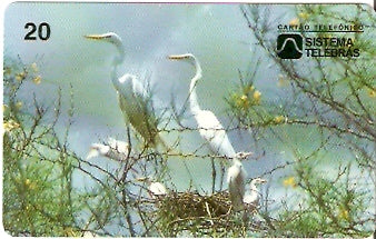 CE-046M - Garça Branca