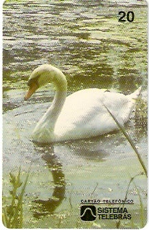 CE-025M - Cisne Mudo
