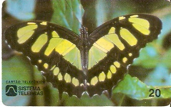 CE-052 - Borboleta Amarela