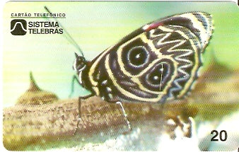 CE-053 - Borboleta 80