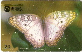 CE-054M - Borboleta