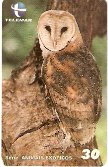 CE-276 - Animais Exóticos - 10/11