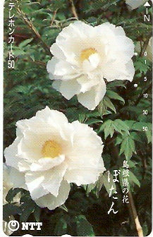 JAP-351-125