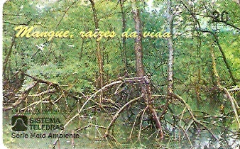 PE-025 - Raízes da Vida