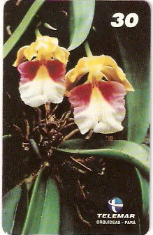 PA-198 - Orquídeas - 04/11