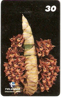 PA-201 - Orquídeas - 07/11