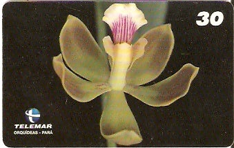 PA-195 - Orquídeas - 01/11