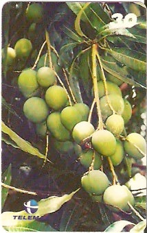 PA-225 - Belém - 384 anos - 4/4