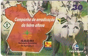 PA-247 - Sagri x Aftosa