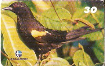 PA-258 - Pássaros - 05/10