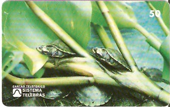 RO-004 - Quelônios da Amazônia