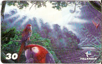 PA-289 - Amazônia - 09/13
