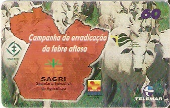 PA-293 - Sagri x Aftosa