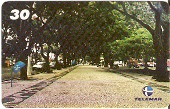 PA-339 - Túnel de Mangueiras
