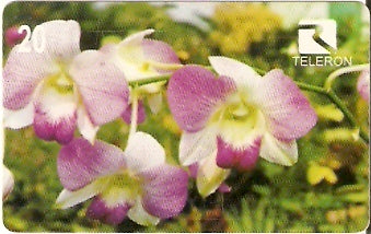 RO-042 - Flores da Amazônia - 3/4