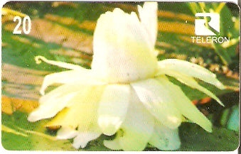 RO-043 - Flores da Amazônia - 4/4