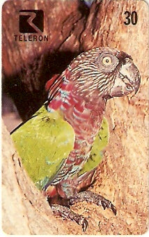 RO-061 - Papagaio de Coleira