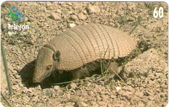 RO-083 - Tatu Cascudo