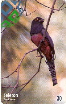 RO-095 - Surucuá