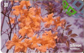 RO-097 - Paratudo