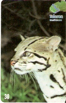 RO-112 - Jaguatirica - 1/4