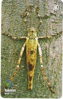 RO-129 - Gafanhoto Malhado