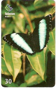 RO-130 - Feiticeira da Mata