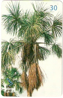 RO-131 - Buriti
