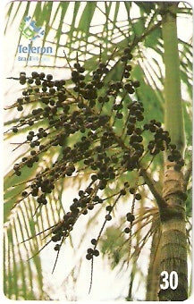 RO-132 - Açaí