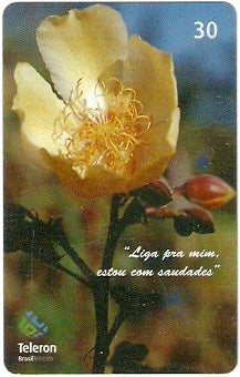 RO-143 - Algodãozinho