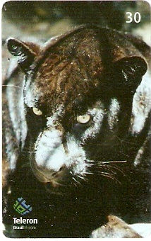 RO-164 - Onça Preta