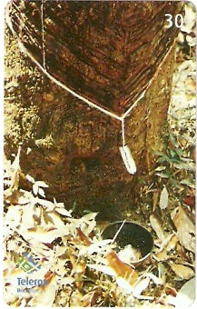 RO-169 - Seringueira - 2/2