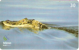 RO-179 - Jacaré-Açu