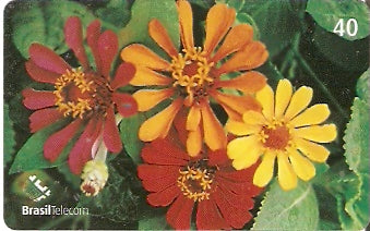 RO-197 - Flores - 3/3