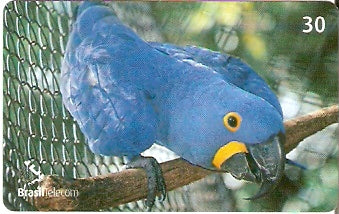 RO-199 - Arara Azul