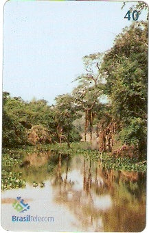 RO-206 - Costa Marques