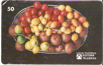 RR-011 - Pupunha e Buriti