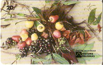 RR-013 - Caju e Azeitonas - B2