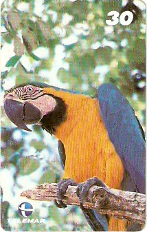 RR-083 - Arara Canindé