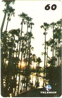 PA-457 - Igarapé