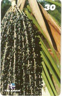 PA-466 - Frutas - 01/12