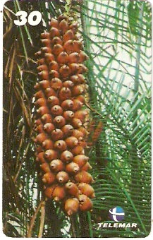 PA-467 - Frutas - 02/12