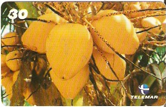 PA-472 - Frutas - 07/12