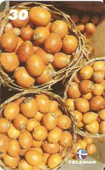 PA-477 - Frutas - 12/12